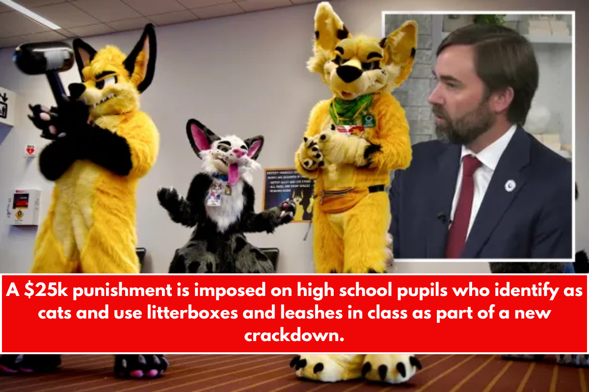A $25k punishment is imposed on high school pupils who identify as cats and use litterboxes and leashes in class as part of a new crackdown.
