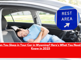 Can You Sleep in Your Car in Wyoming Here's What You Need to Know in 2025