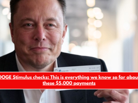 DOGE Stimulus checks This is everything we know so far about these $5,000 payments