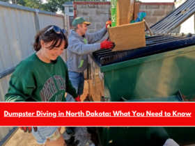 Dumpster Diving in North Dakota What You Need to Know