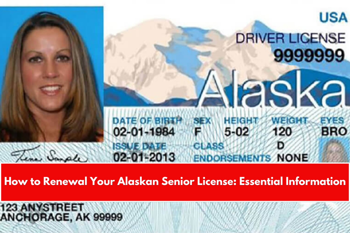 How to Renewal Your Alaskan Senior License Essential Information