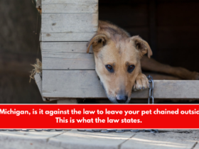 In Michigan, is it against the law to leave your pet chained outside This is what the law states.