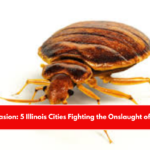 Insect Invasion 5 Illinois Cities Fighting the Onslaught of Bed Bugs