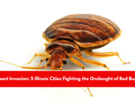 Insect Invasion Five Alaskan Cities Fight the Onslaught of Bed Bugs