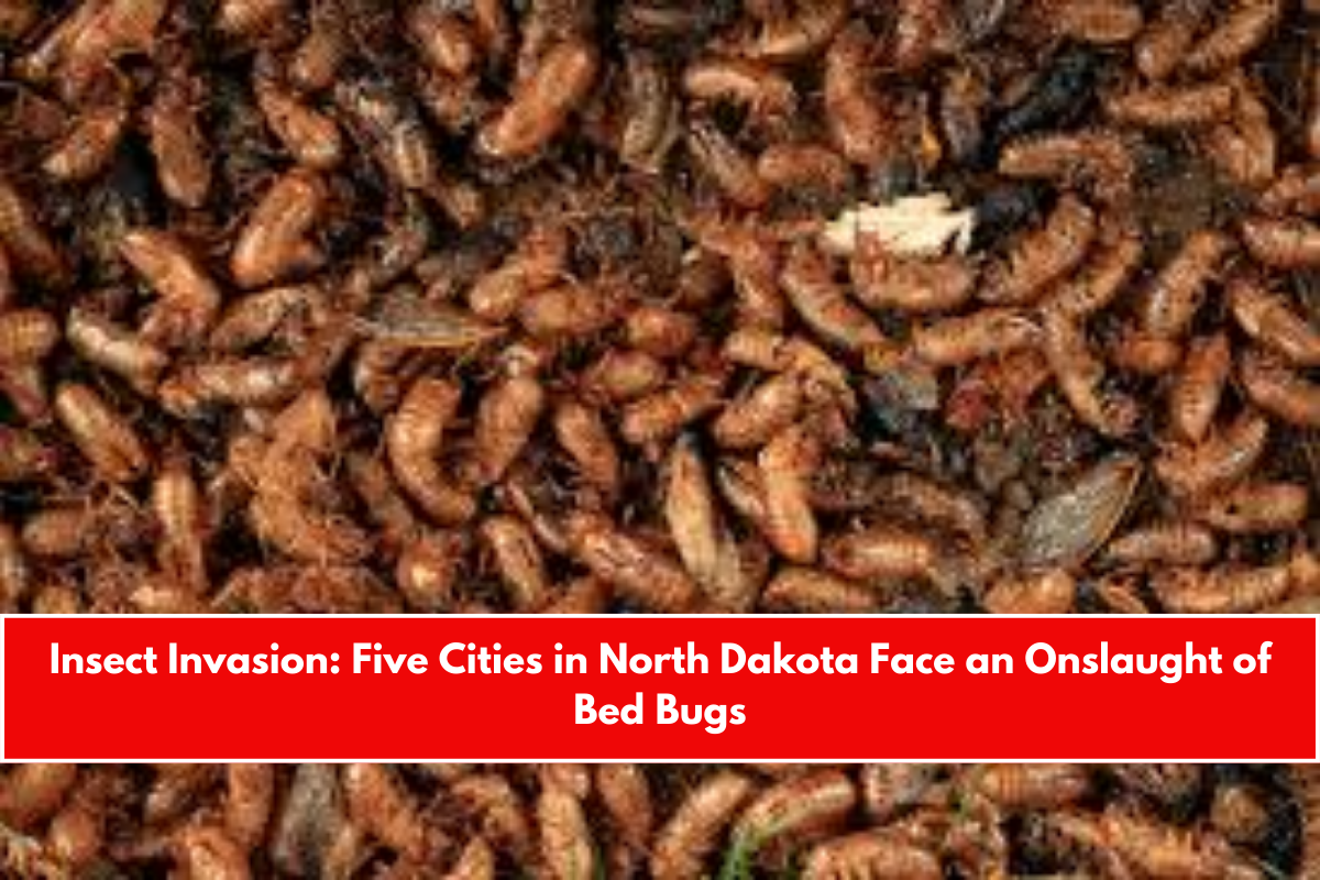 Insect Invasion Five Cities in North Dakota Face an Onslaught of Bed Bugs