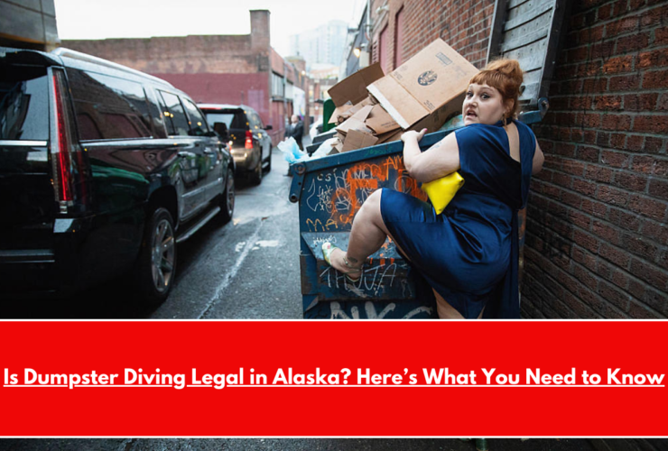 Is Dumpster Diving Legal in Alaska Here’s What You Need to Know