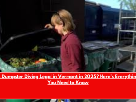 Is Dumpster Diving Legal in Vermont in 2025 Here’s Everything You Need to Know