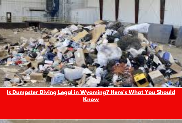 Is Dumpster Diving Legal in Wyoming Here's What You Should Know