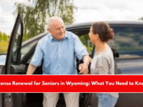 License Renewal for Seniors in Wyoming What You Need to Know