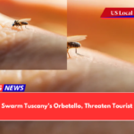 Midges Swarm Tuscany’s Orbetello, Threaten Tourist Season
