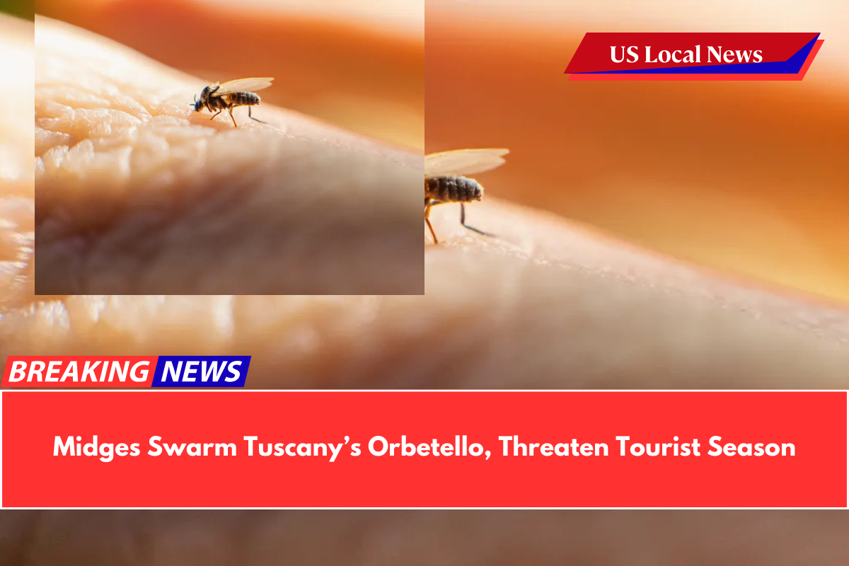 Midges Swarm Tuscany’s Orbetello, Threaten Tourist Season