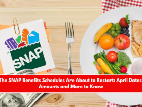 The SNAP Benefits Schedules Are About to Restart April Dates, Amounts and More to Know