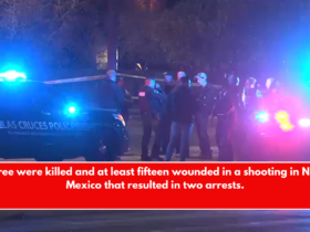 Three were killed and at least fifteen wounded in a shooting in New Mexico that resulted in two arrests.