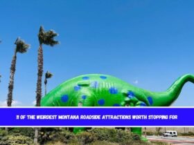 11 of the Weirdest Montana Roadside Attractions Worth Stopping For