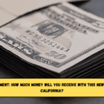 FFESP Stimulus Payment How much money will you receive with this new monthly deposit in California