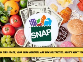 If You Live In This State, Your SNAP Benefits Are Now Restricted Here’s What You Can’t Buy