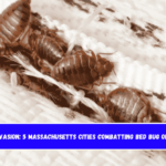 Insect Invasion 5 Massachusetts Cities Combatting Bed Bug Onslaught