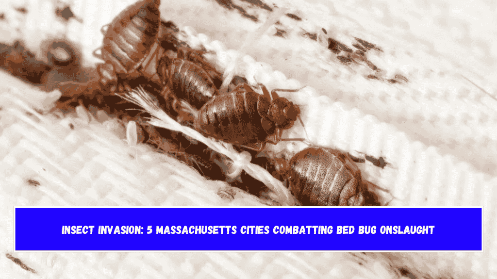 Insect Invasion 5 Massachusetts Cities Combatting Bed Bug Onslaught