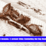 Insect Invasion 5 vermont Cities Combatting Bed Bug Onslaught