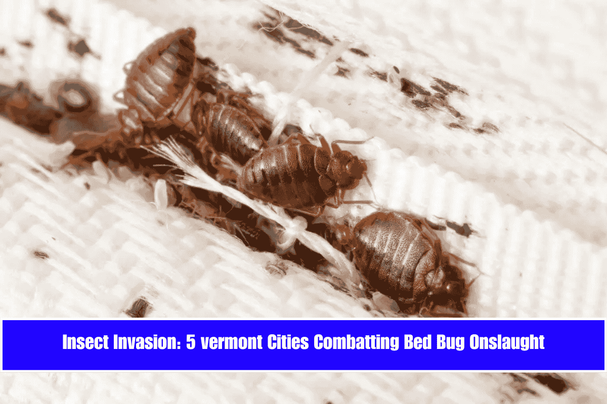 Insect Invasion 5 vermont Cities Combatting Bed Bug Onslaught