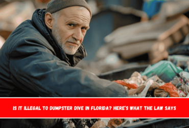 Is It Illegal to Dumpster Dive in Florida Here’s What the Law Says