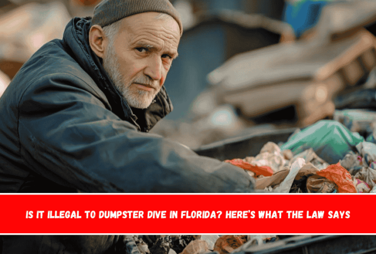 Is It Illegal to Dumpster Dive in Florida Here’s What the Law Says