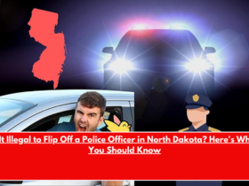 Is It Illegal to Flip Off a Police Officer in North Dakota Here's What You Should Know
