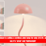 LIGHT UP. Walmart is selling a cordless pink lamp for only $18.99, and reviewers say it's 'great' and 'lightweight'
