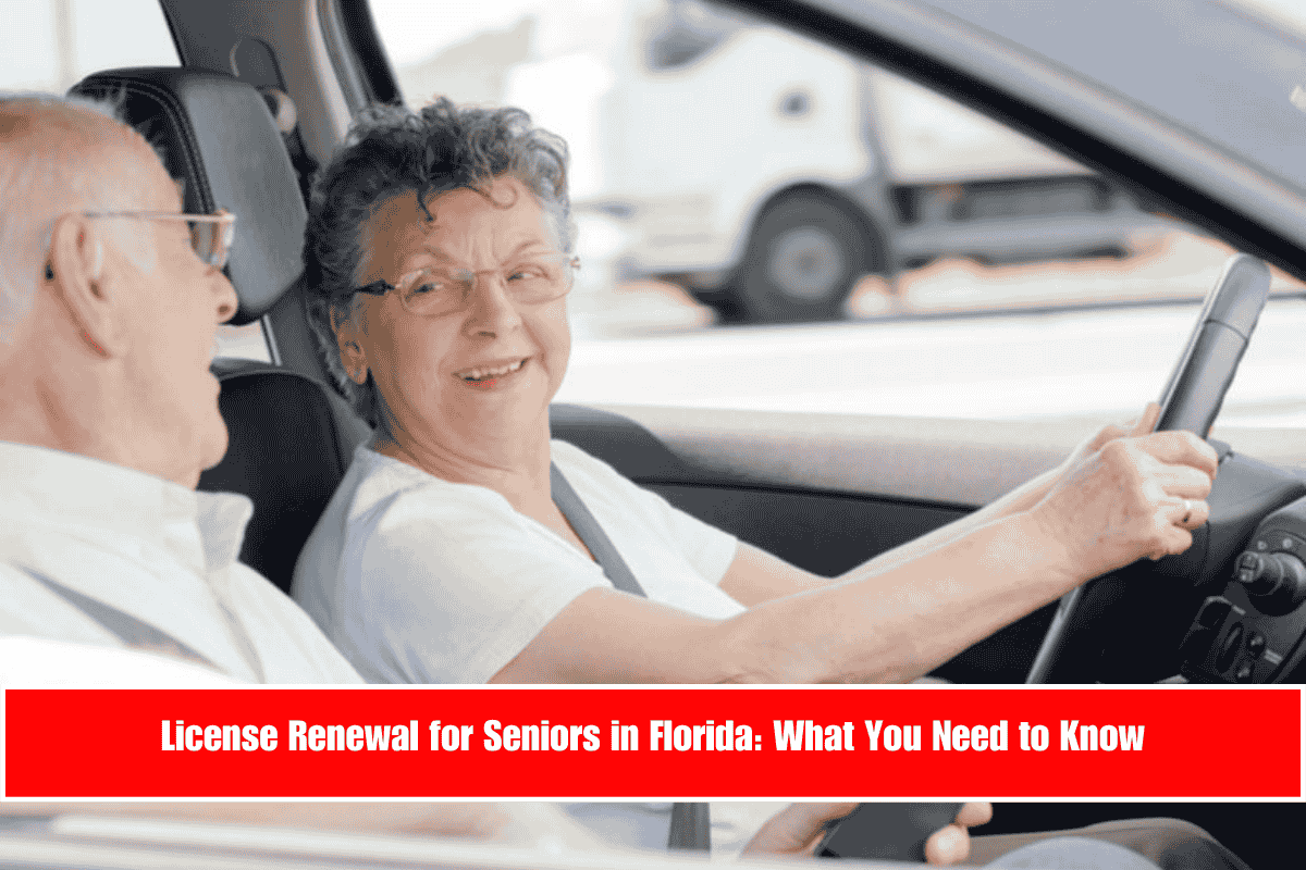 License Renewal for Seniors in Florida What You Need to Know