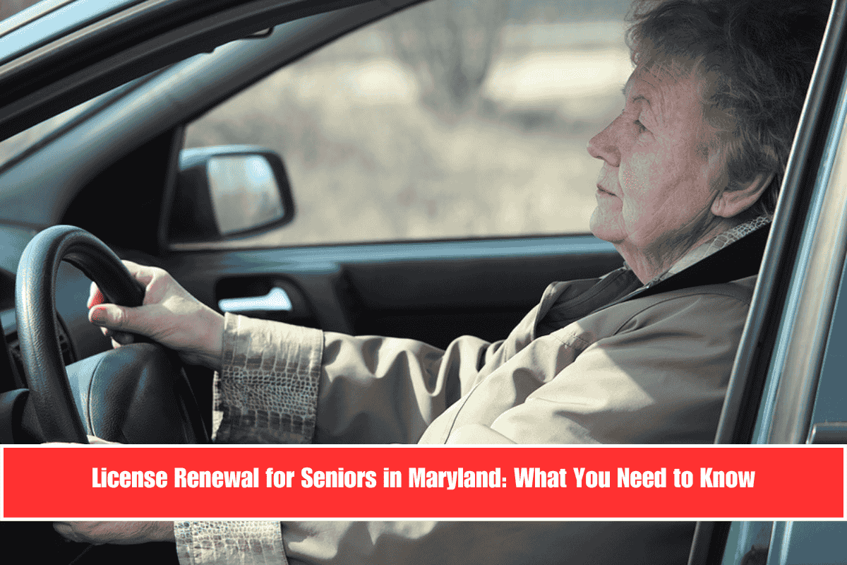 License Renewal for Seniors in Maryland What You Need to Know