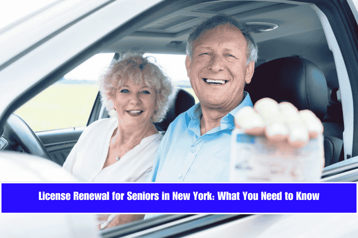 License Renewal for Seniors in New York What You Need to Know