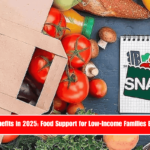 SNAP Benefits in 2025 Food Support for Low-Income Families Explained