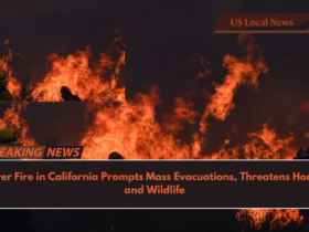 Silver Fire in California Prompts Mass Evacuations, Threatens Homes and Wildlife
