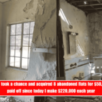 VILLA FLIP. I took a chance and acquired 8 abandoned flats for $50,000, and it paid off since today I make $220,000 each year
