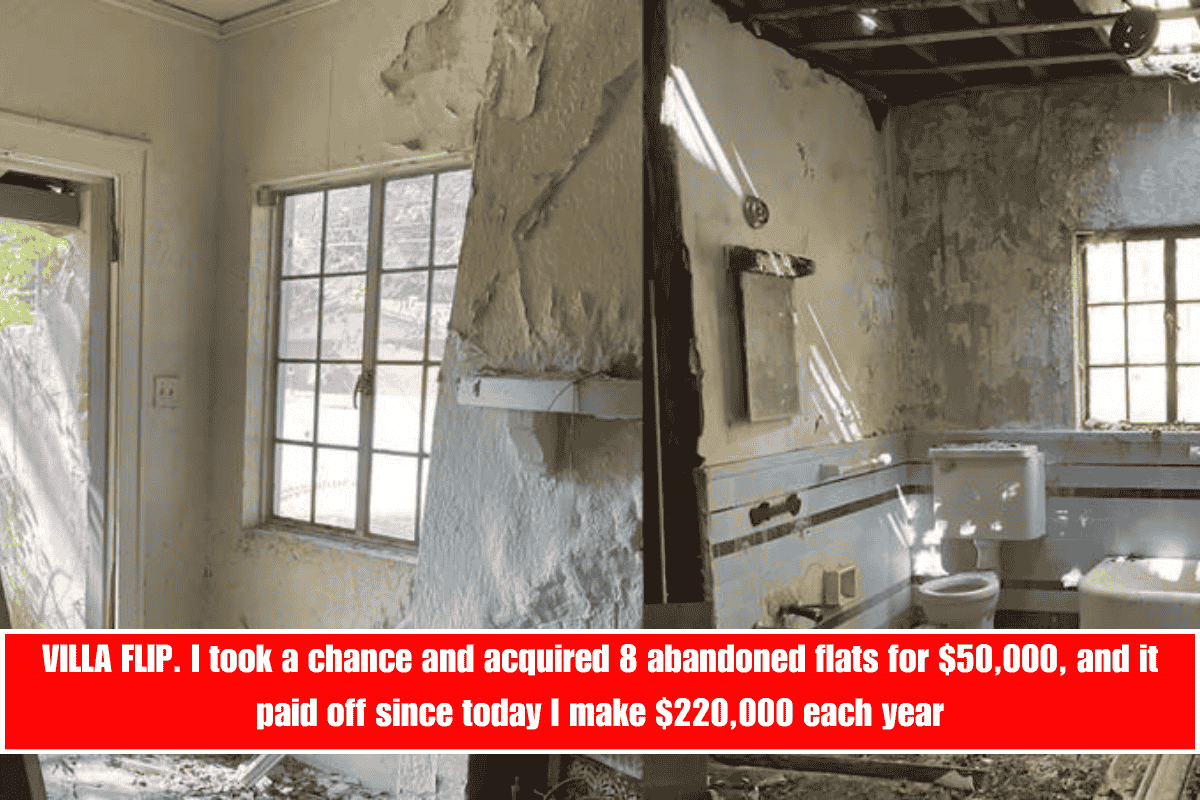 VILLA FLIP. I took a chance and acquired 8 abandoned flats for $50,000, and it paid off since today I make $220,000 each year