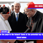 Who will be the pope in the future Some of the potential top choices are listed below