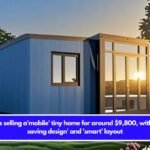 Amazon is selling a'mobile' tiny home for around $9,800, with a'space-saving design' and 'smart' layout