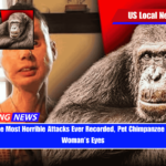 In One of the Most Horrible Attacks Ever Recorded, Pet Chimpanzee Snaps, Eats Woman’s Eyes