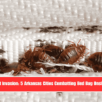 Insect Invasion 5 Arkansas Cities Combatting Bed Bug Onslaught