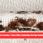 Insect Invasion 5 Iowa Cities Combatting Bed Bug Onslaught