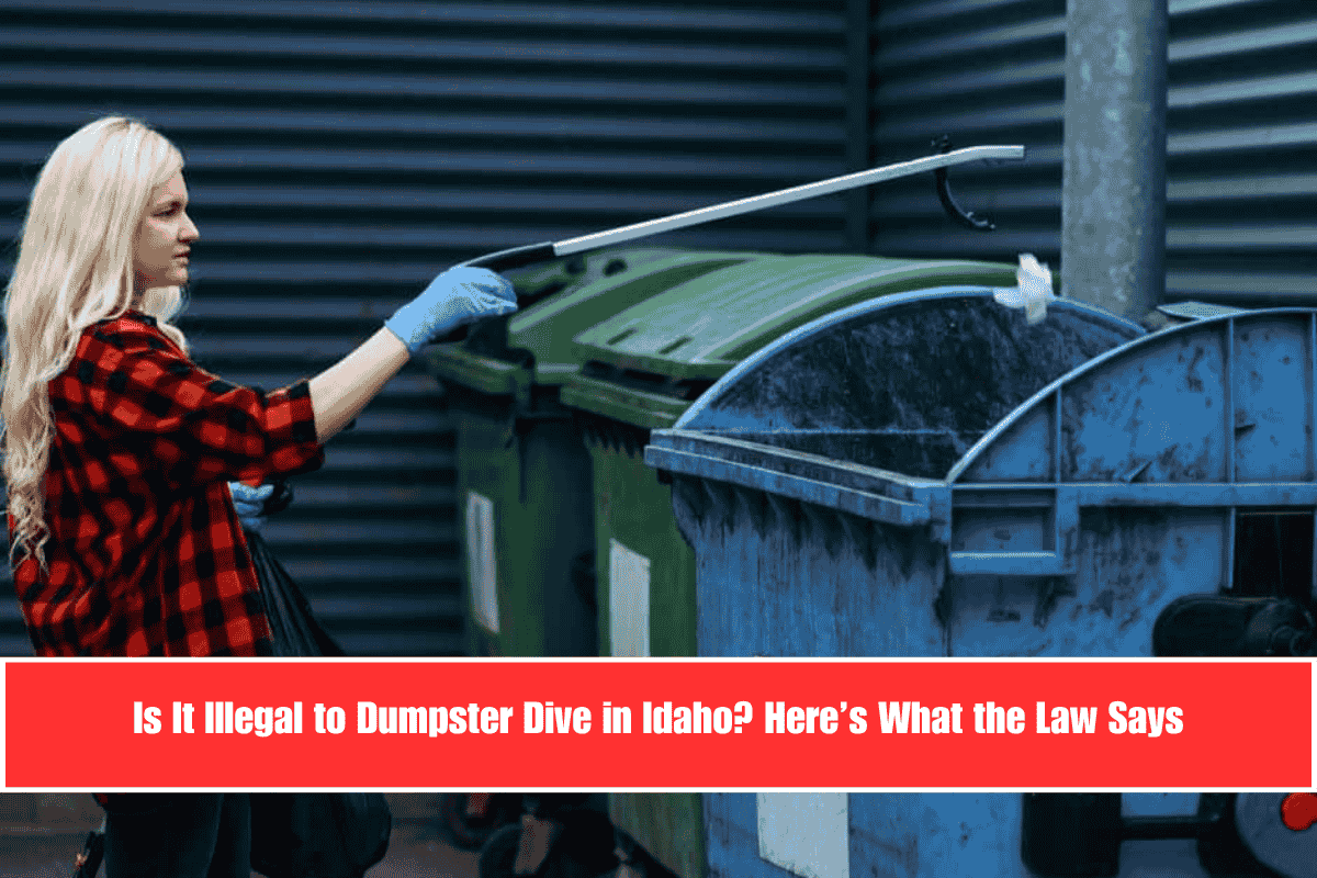 Is It Illegal to Dumpster Dive in Idaho Here’s What the Law Says