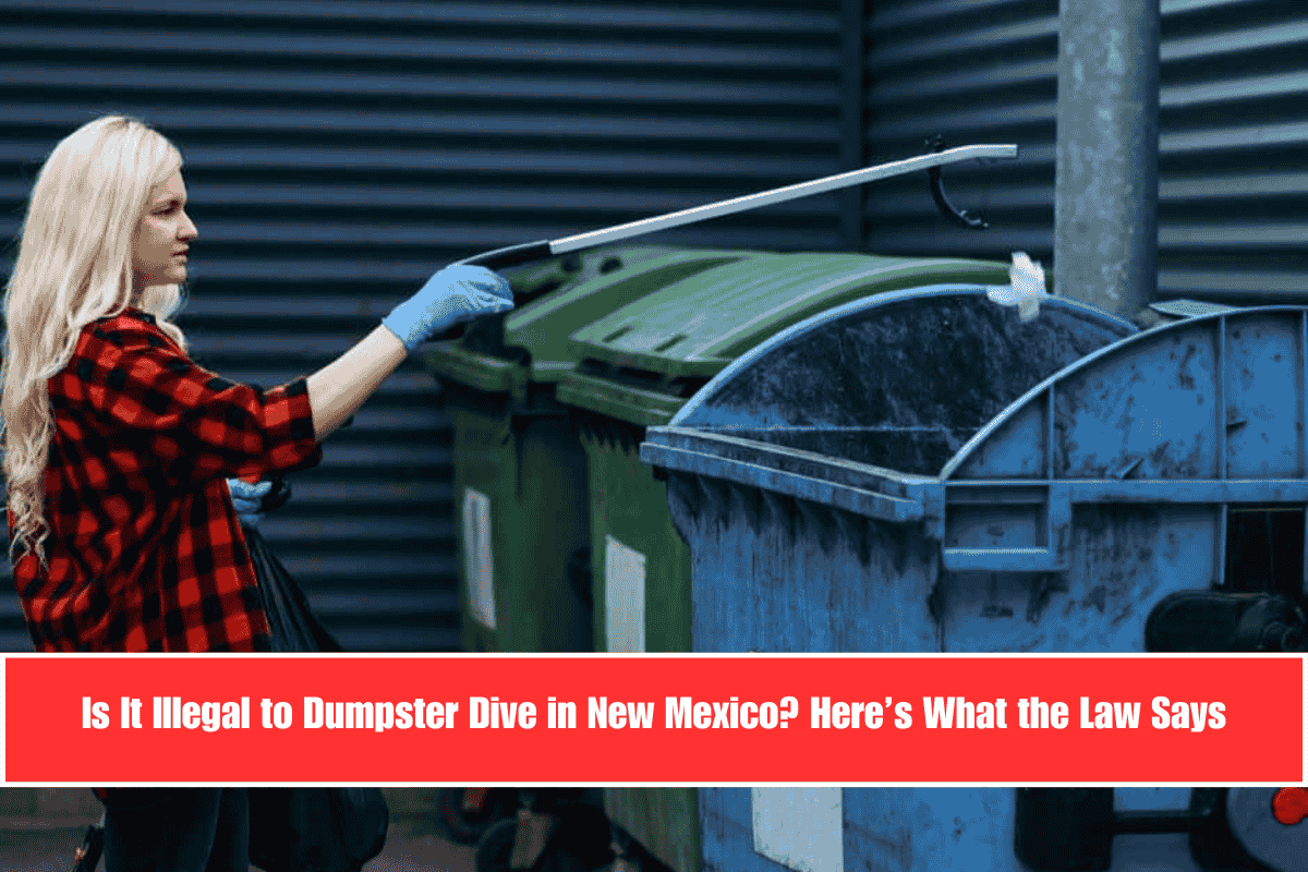 Is It Illegal to Dumpster Dive in New Mexico Here’s What the Law Says