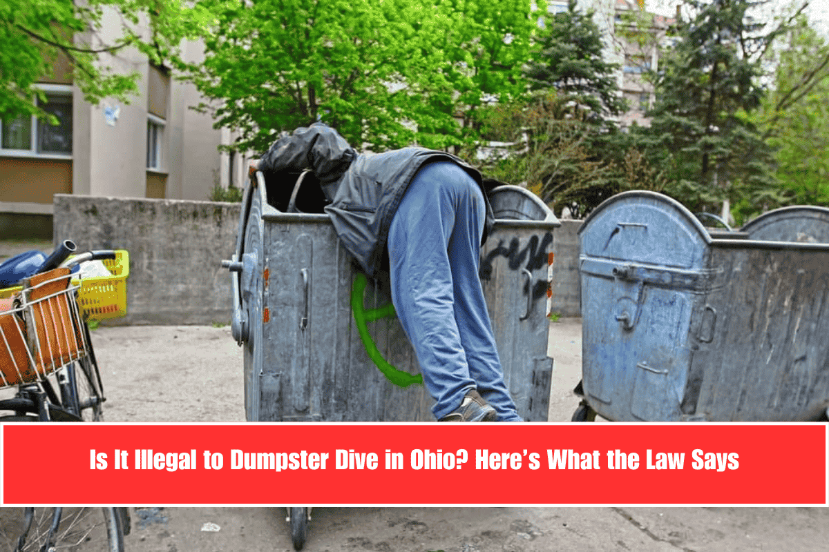 Is It Illegal to Dumpster Dive in Ohio Here’s What the Law Says