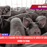 Man pleads guilty to a murder-for-hire conspiracy in which he planned to feed victim to hogs