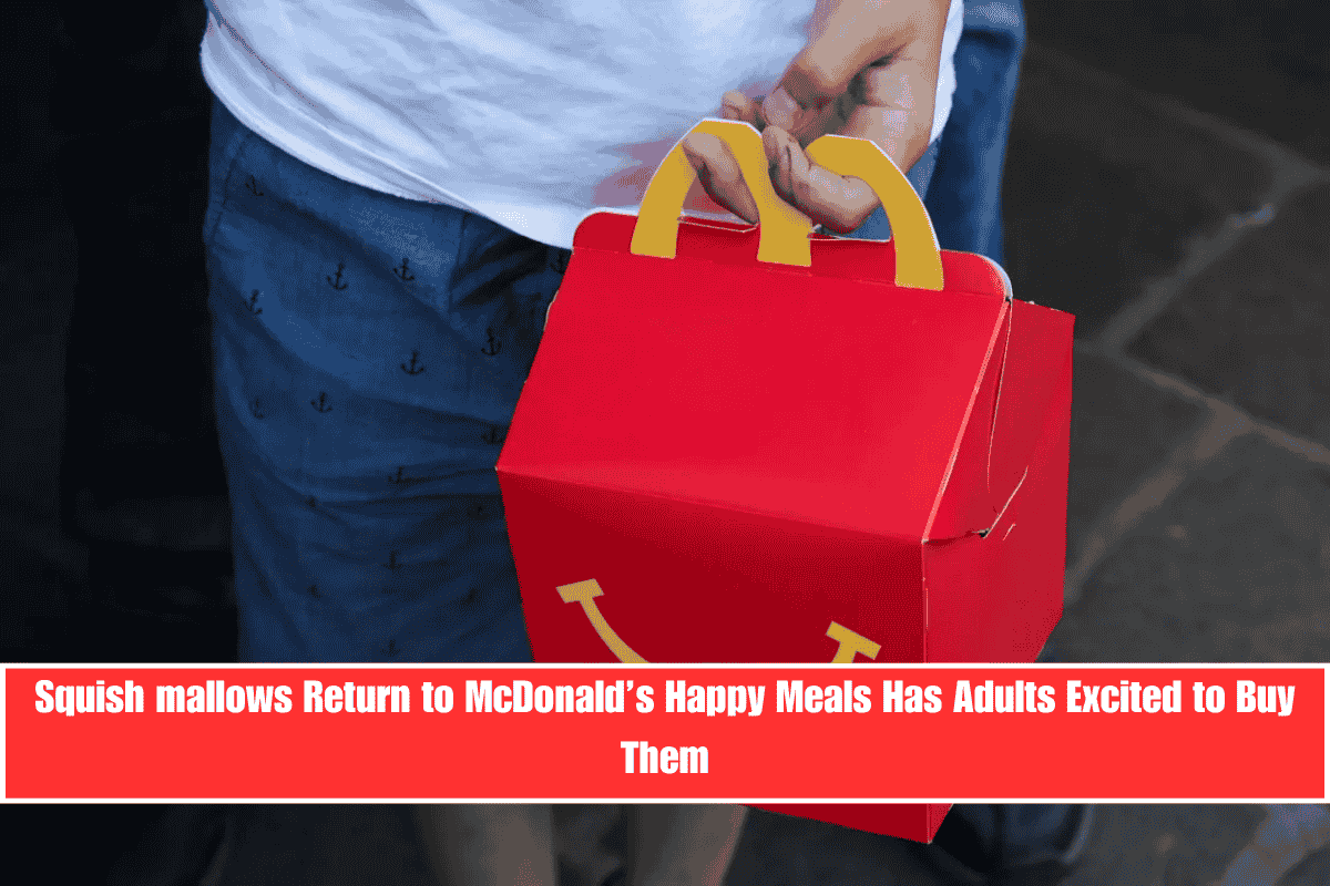 Squish mallows Return to McDonald’s Happy Meals Has Adults Excited to Buy Them