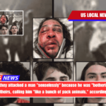Teens allege they attacked a man senselessly because he was bothering an autistic friend of theirs, calling him like a bunch of pack animals, according to police