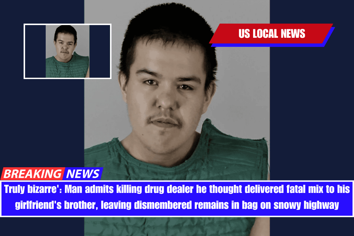 Truly bizarre' Man admits killing drug dealer he thought delivered fatal mix to his girlfriend's brother, leaving dismembered remains in bag on snowy highway