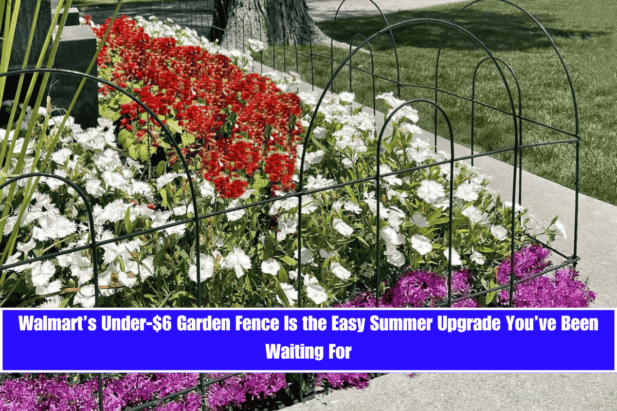 Walmart’s Under-$6 Garden Fence Is the Easy Summer Upgrade You’ve Been Waiting For